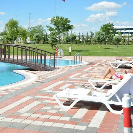 Garden Kale Thermal 3*