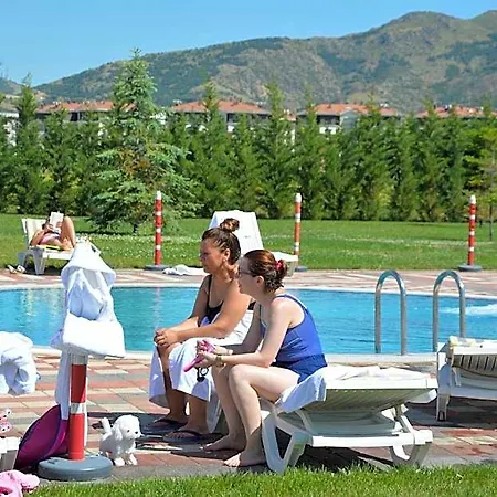Garden Kale Thermal 3*