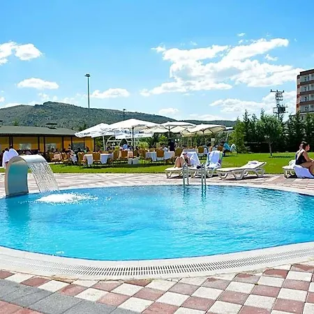 Garden Kale Thermal 3*