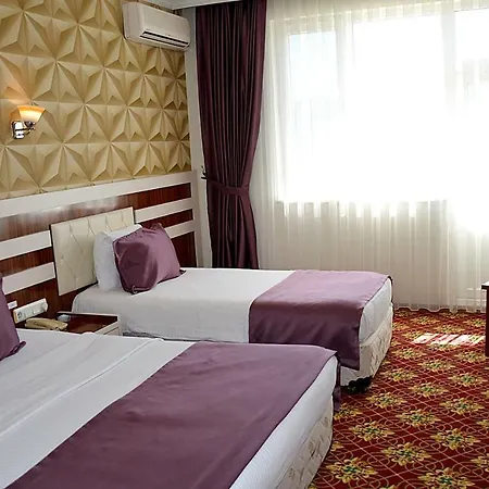 Garden Kale Thermal 3*